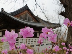 20190407_130426(800x389).jpg