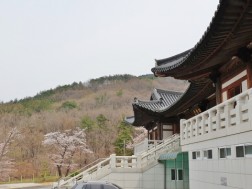 크기변환_20200401_124444.jpg