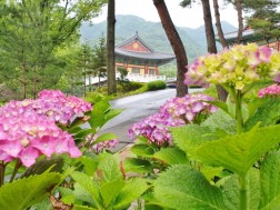 크기변환_20200624_171625.jpg